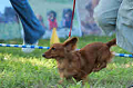 050918_sports_D-1354_thumb.png