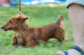 050918_sports_D-1355_thumb.png