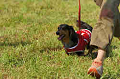 050918_sports_D-1357_thumb.png