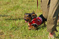 050918_sports_D-1358_thumb.png