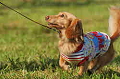 050918_sports_D-1361_thumb.png