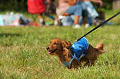 050918_sports_D-1371_thumb.png
