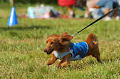 050918_sports_D-1372_thumb.png