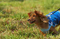 050918_sports_D-1375_thumb.png
