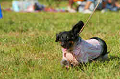 050918_sports_D-1379_thumb.png
