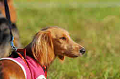050918_sports_D-1391_thumb.png