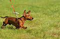 050918_sports_D-1392_thumb.png