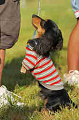 050918_sports_D-1394_thumb.png