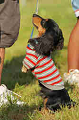 050918_sports_D-1395_thumb.png