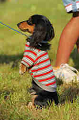050918_sports_D-1398_thumb.png