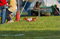 050918_sports_D-1400_thumb.png