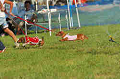 050918_sports_D-1401_thumb.png