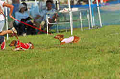 050918_sports_D-1402_thumb.png