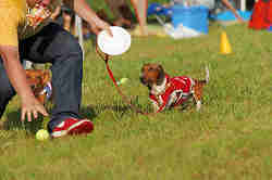 050918_sports_D-1403.jpg