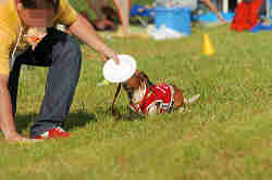 050918_sports_D-1404.jpg