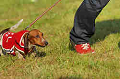 050918_sports_D-1406_thumb.png
