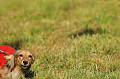 050918_sports_D-1407_thumb.png