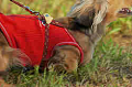 050918_sports_D-1410_thumb.png