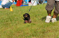 050918_sports_D-1412_thumb.png