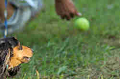 050918_sports_D-1417_thumb.png
