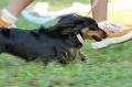 050918_sports_D-1421_thumb.png