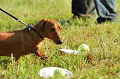 050918_sports_D-1428_thumb.png