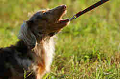 050918_sports_D-1429_thumb.png
