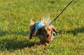 050918_sports_D-1438_thumb.png