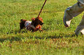 050918_sports_D-1441_thumb.png
