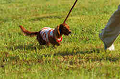 050918_sports_D-1442_thumb.png