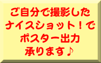 �ڂ����́A��������Q�Ƃ��ĉ������B