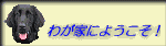 �䂪�Ƃɂ悤����