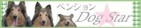 �y���V�����E�h�b�O�X�^�[