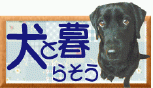 ���ƕ�炻��
