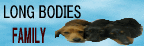 long bodies family