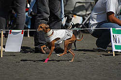 A_D2X_0079.jpg