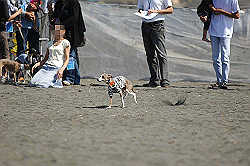 A_D2X_0129.jpg