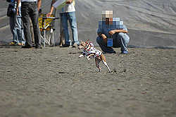 A_D2X_0175.jpg