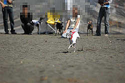 A_D2X_0212.jpg