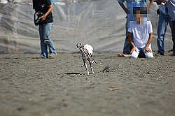 A_D2X_0216.jpg