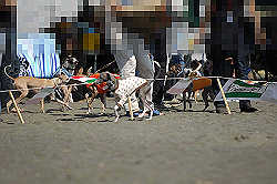 A_D2X_0245.jpg