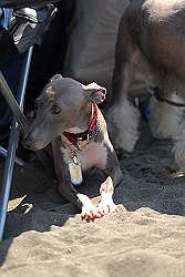 B_D200_0814.jpg